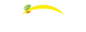 Bonduelle - Natrag na početnu stranicu